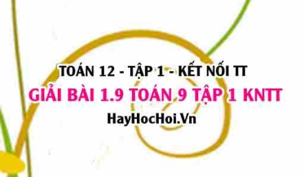 Bài 1.9 Toán 12 tập 1 SGK Kết nối tri thức